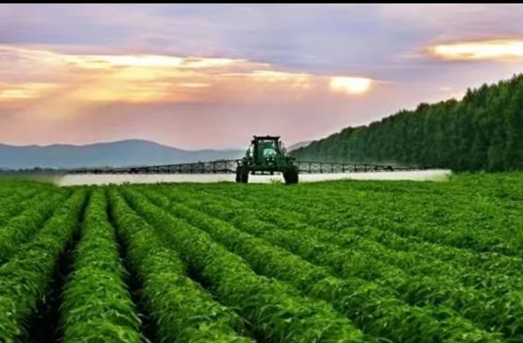 闰年闰月24节气怎么算出来的,二十四节气是什么人发明的