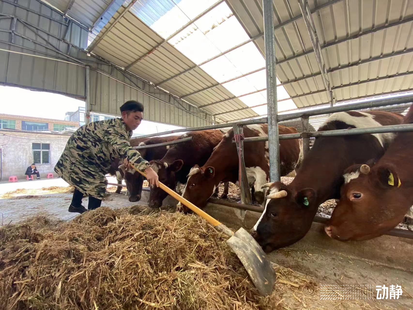毕业三年的大学生返乡创业贷款,四川返乡创业免息贷款条件