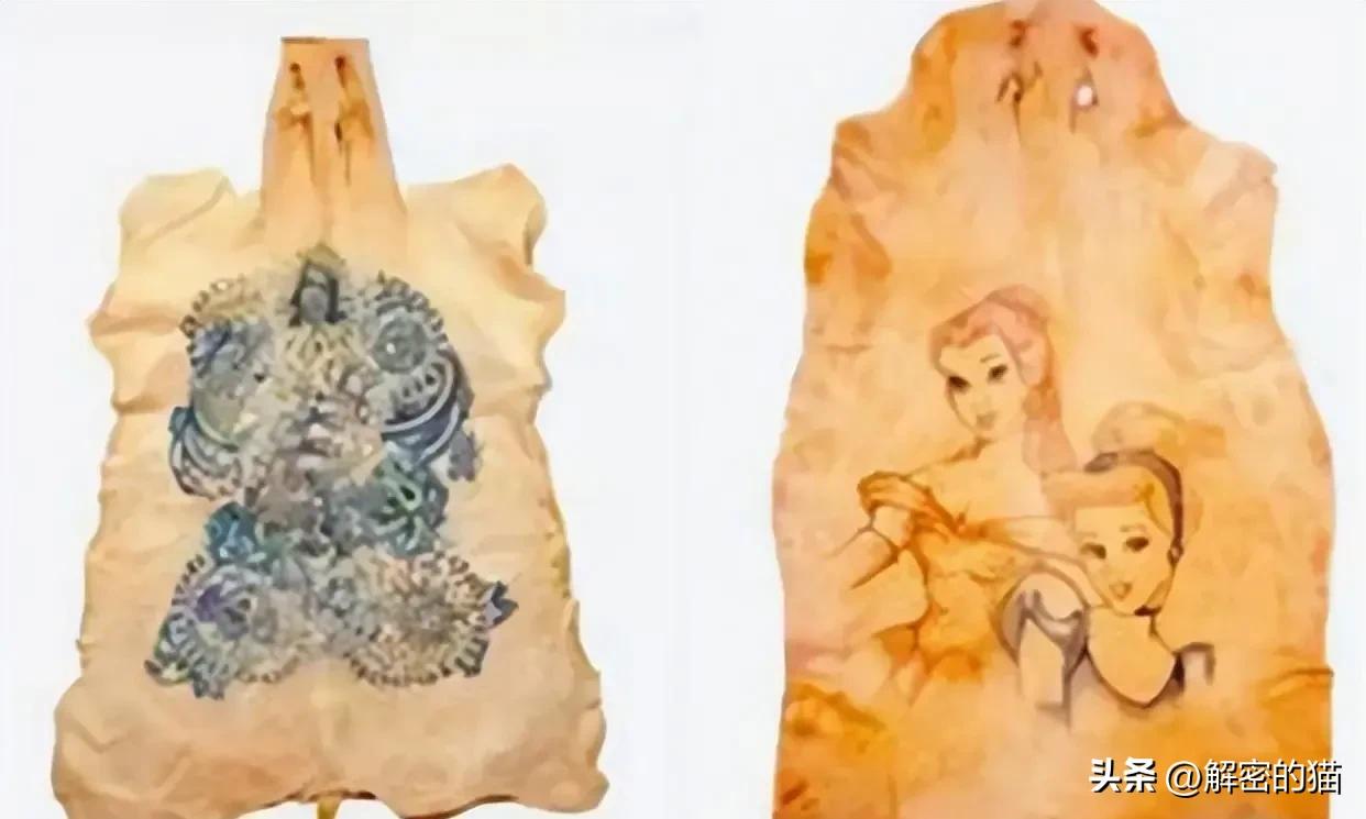 外国小伙给猪纹身,给猪纹身的男人