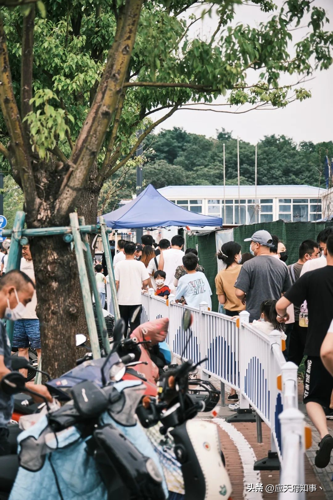 南京大学好吃的美食,南京大学校园里有哪些美食