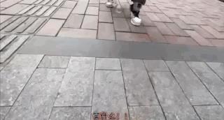 濂崇敓鍋氳揣鎷夋媺鍙告満,濂冲瀛愬仛鍙告満璺戣揣鎷夋媺