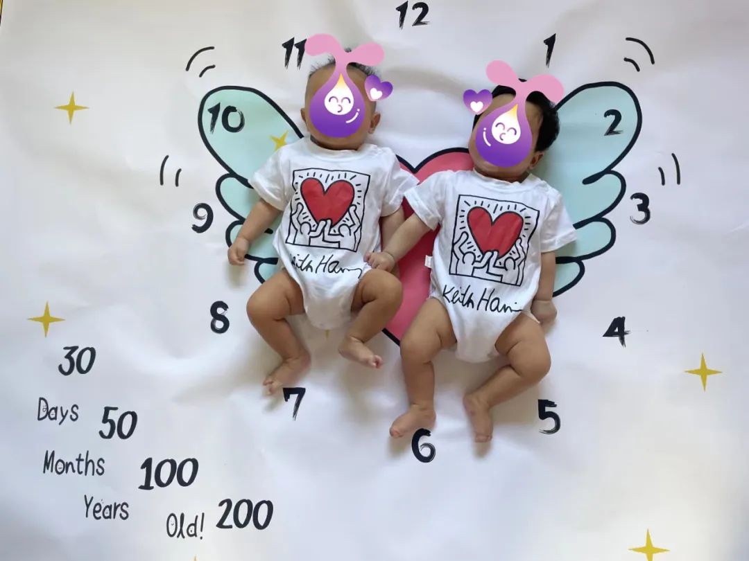 监测排卵可以怀双胞胎吗,排卵前吃什么容易怀双胎