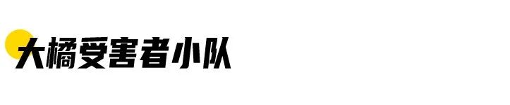 你以为你养的中华田园猫,家里养了中华田园猫