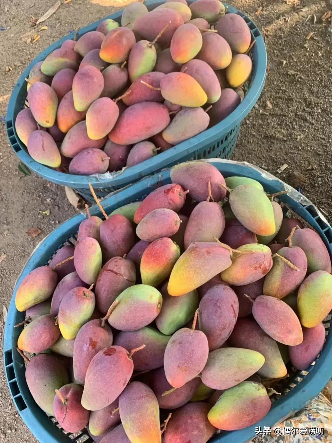 对快递有疑惑,快递的迷惑行为