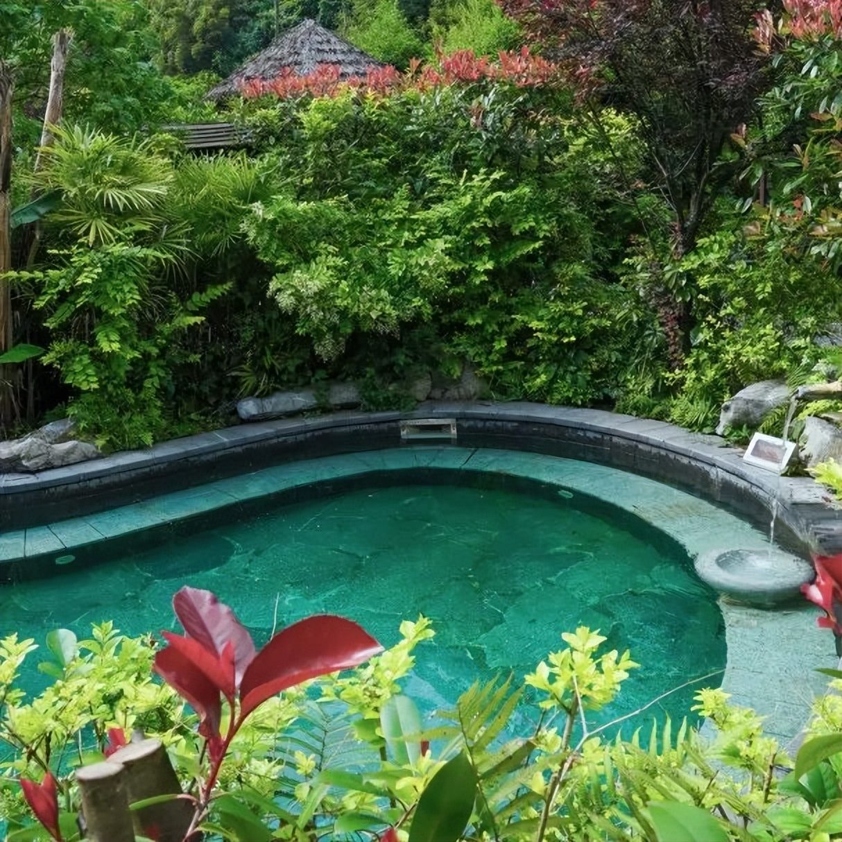 金佛山景区内温泉,金佛山温泉度假村泡温泉