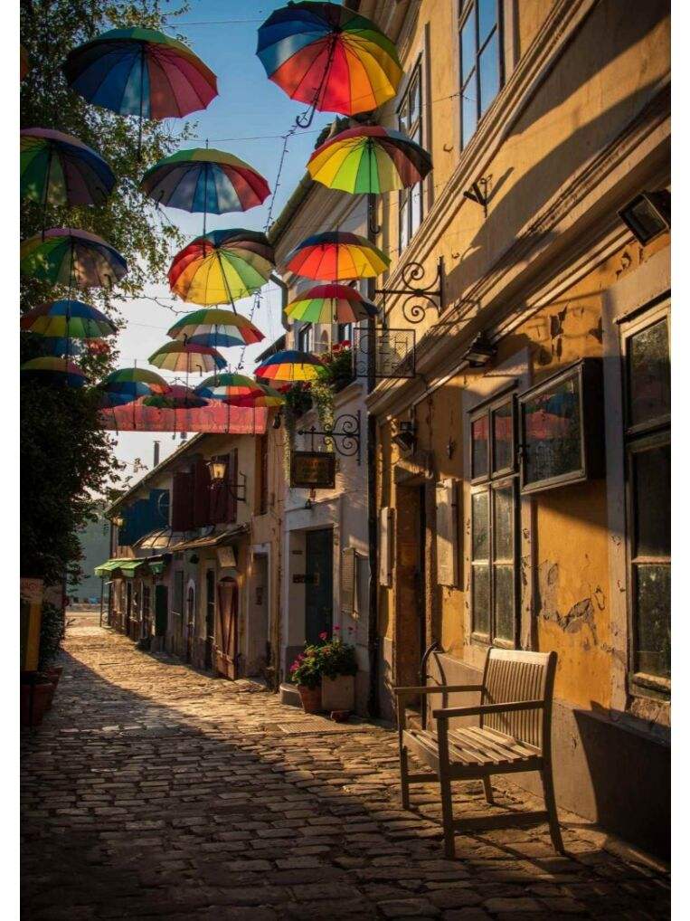 匈牙利护照对马耳他免签吗,匈牙利护照好申请吗