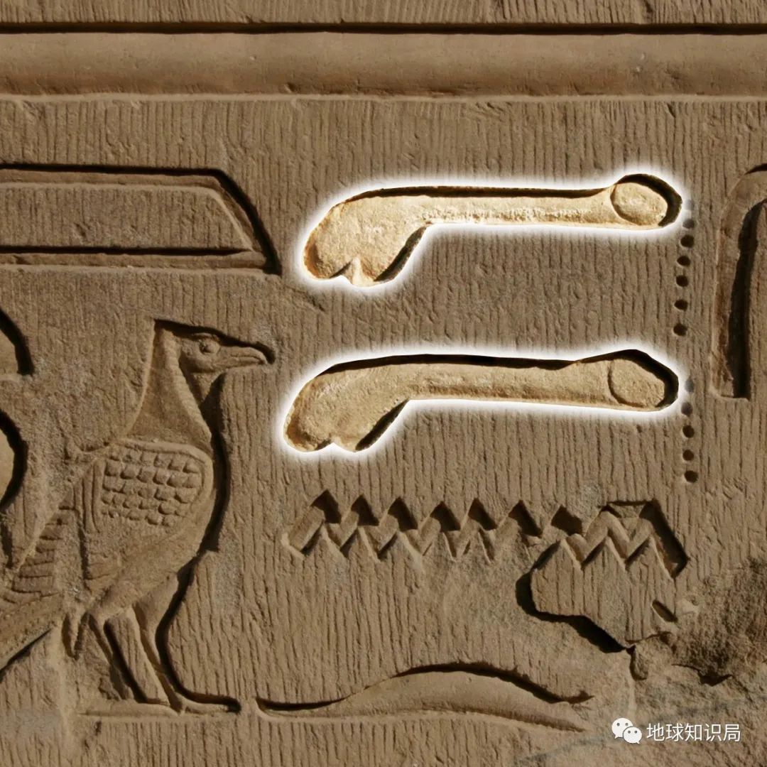 *慰自**太多，会变短么|地球知识局