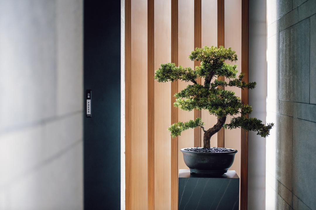 配备一星米其林黑珍珠餐厅,比米其林黑珍珠高端的餐厅