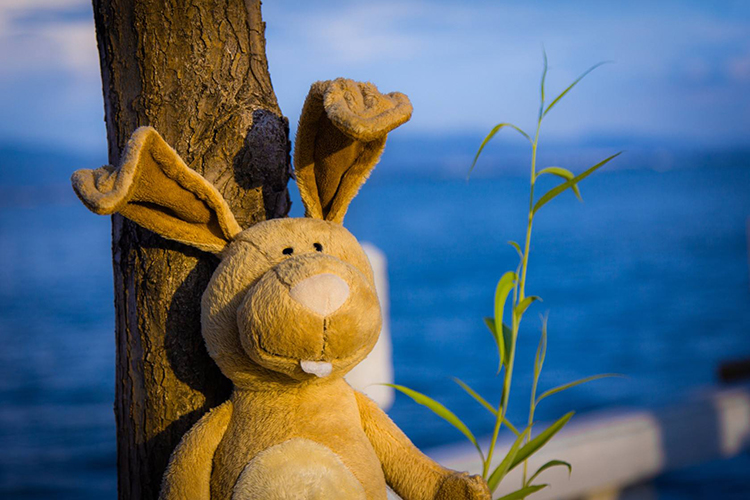 众筹融资有什么方法,众筹平台为项目融资合法吗