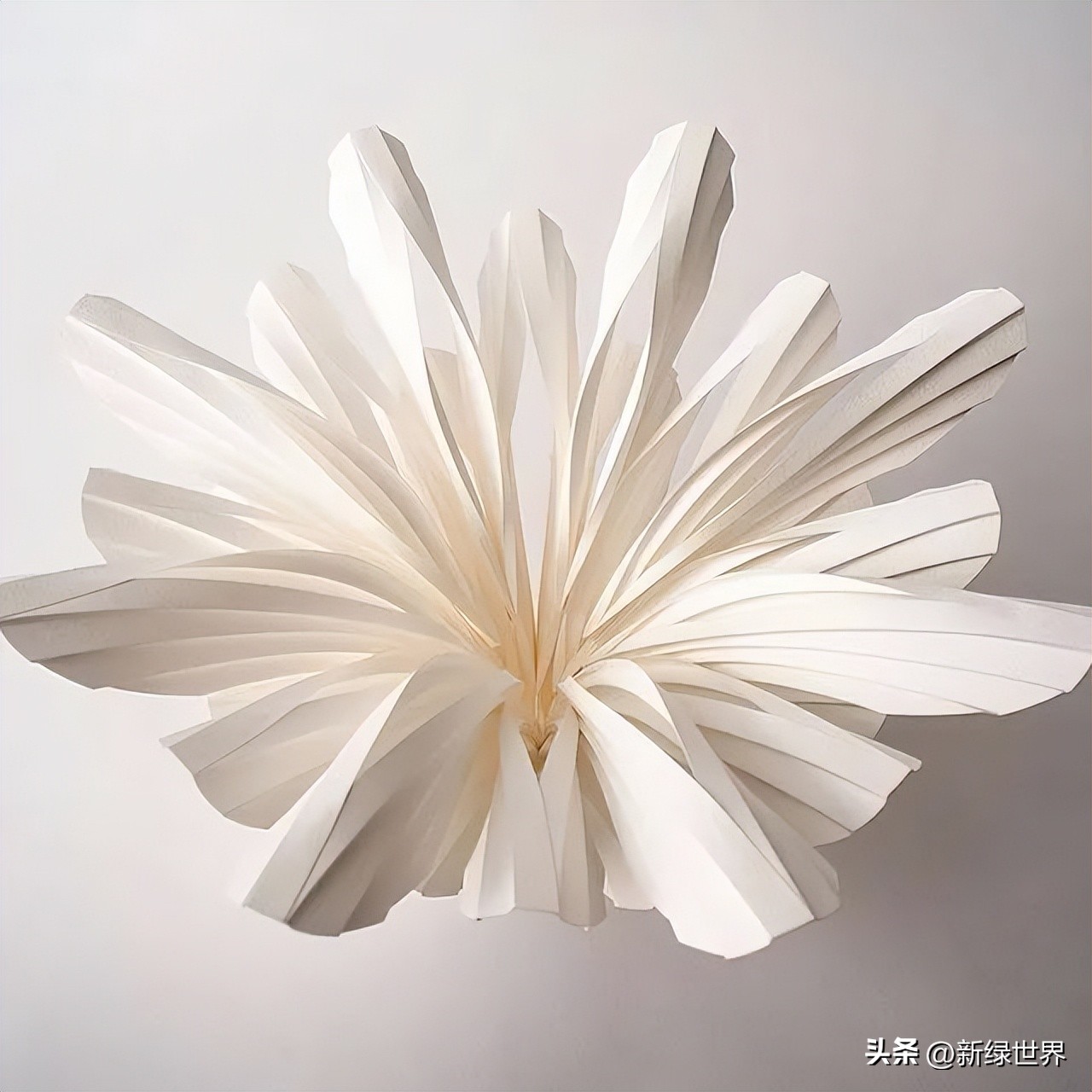 纸艺作品绘画,千变万化的纸艺术作品