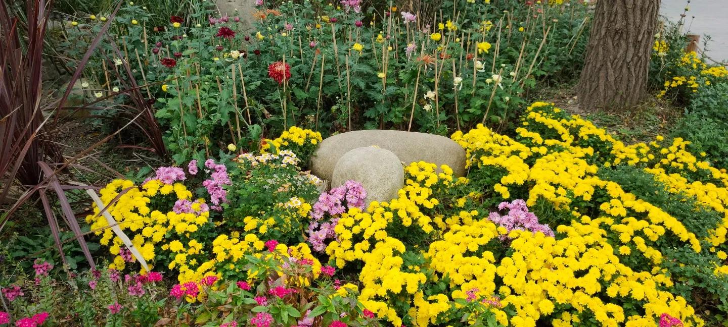 苏州东园园林地址,苏州东园园林简介