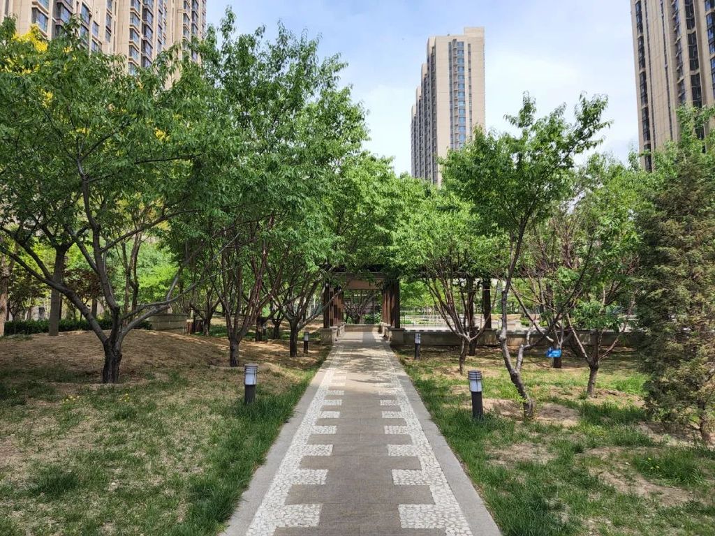 谁是影像机皇,谁才是手机机皇