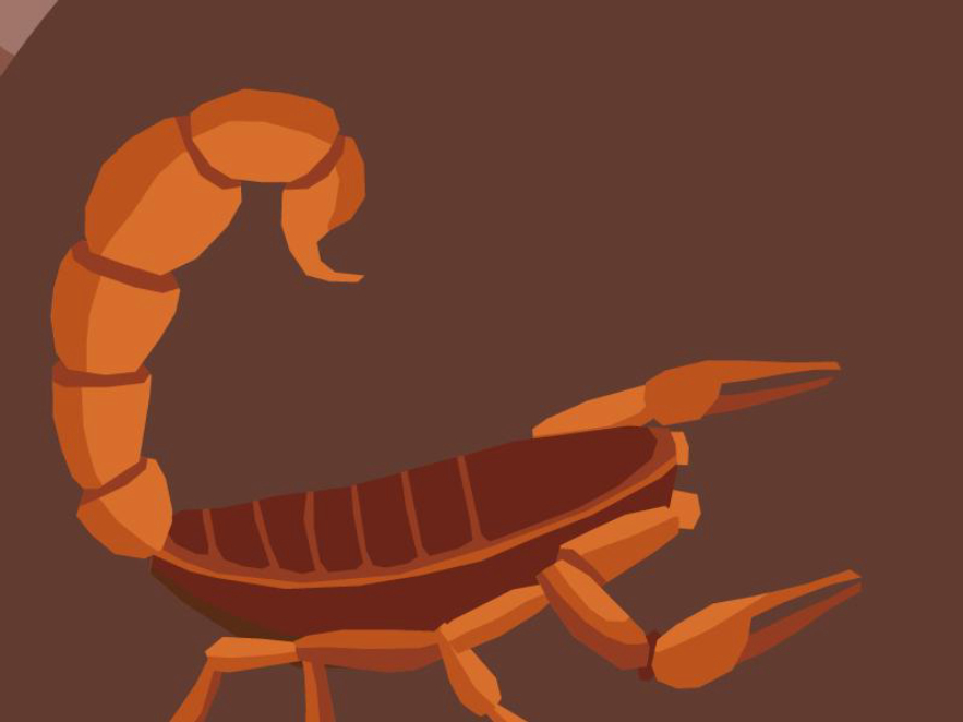 疯狂蝎子,最大蝎子到底有多可怕