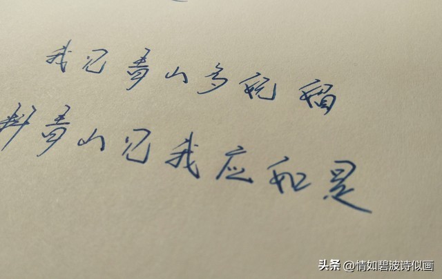 散文你是我一生最美的梦,抒情散文你是我生命中最美相遇