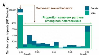 科学研究：有哥哥的男生更有可能成为同性恋
