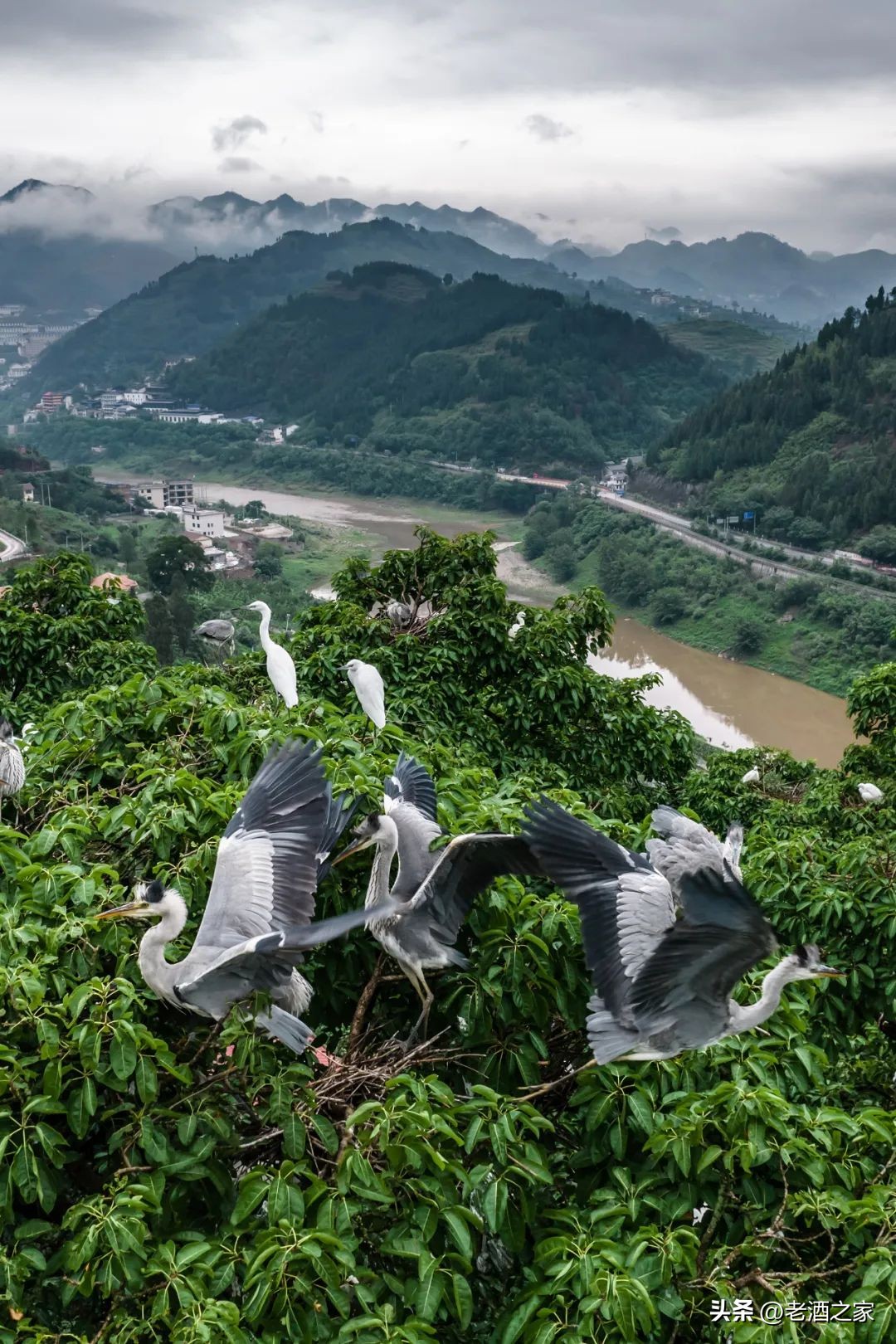 在茅台酒厂上班是什么体验,茅台酒厂上班工资多少