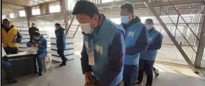 2022国际鸽联,2023国际鸽联洲际杯鸽王赛奖金