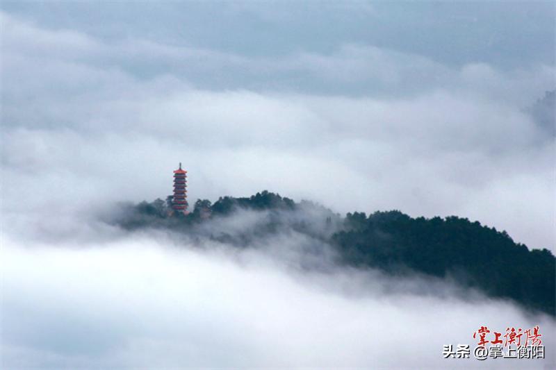 民医扁鹊康养馆湖南衡阳,衡阳康养中心
