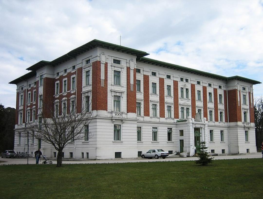 真实事件奥地利兽父囚女案,奥地利兽父囚禁案结果