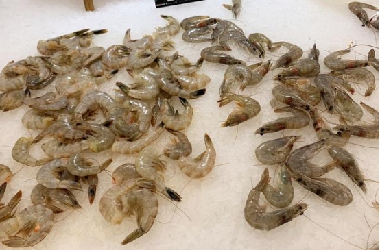 买虾不抓虾的方法,买虾的正确方法和注意事项