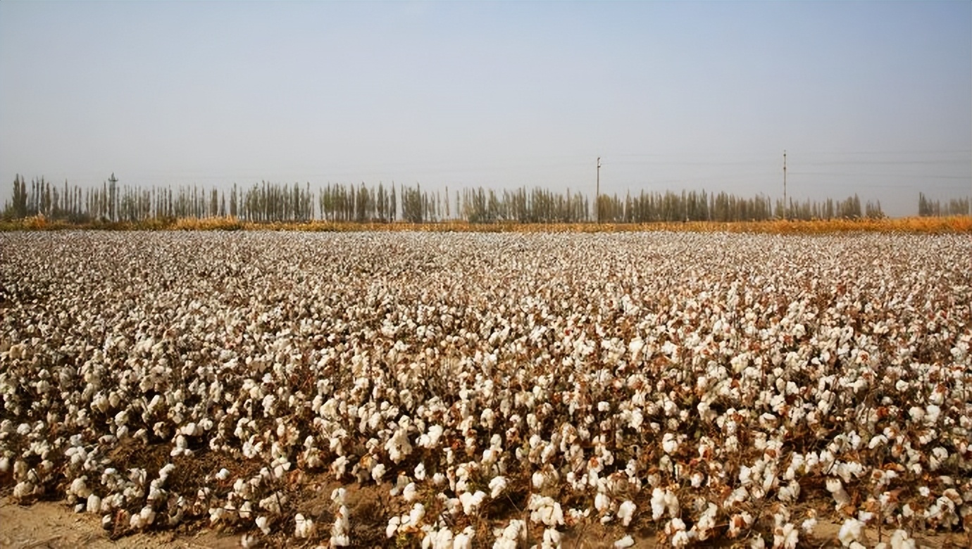 环游新疆15天,环游南疆8天攻略