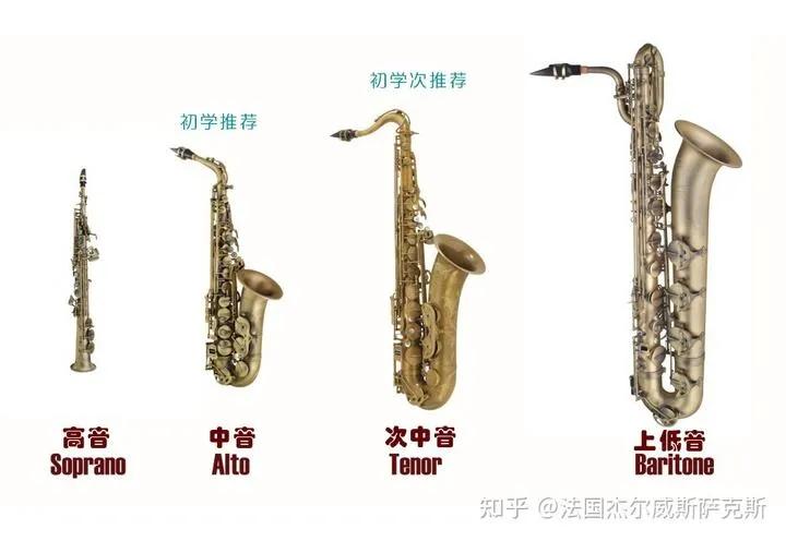 想学萨克斯从何学起,新手想学习萨克斯
