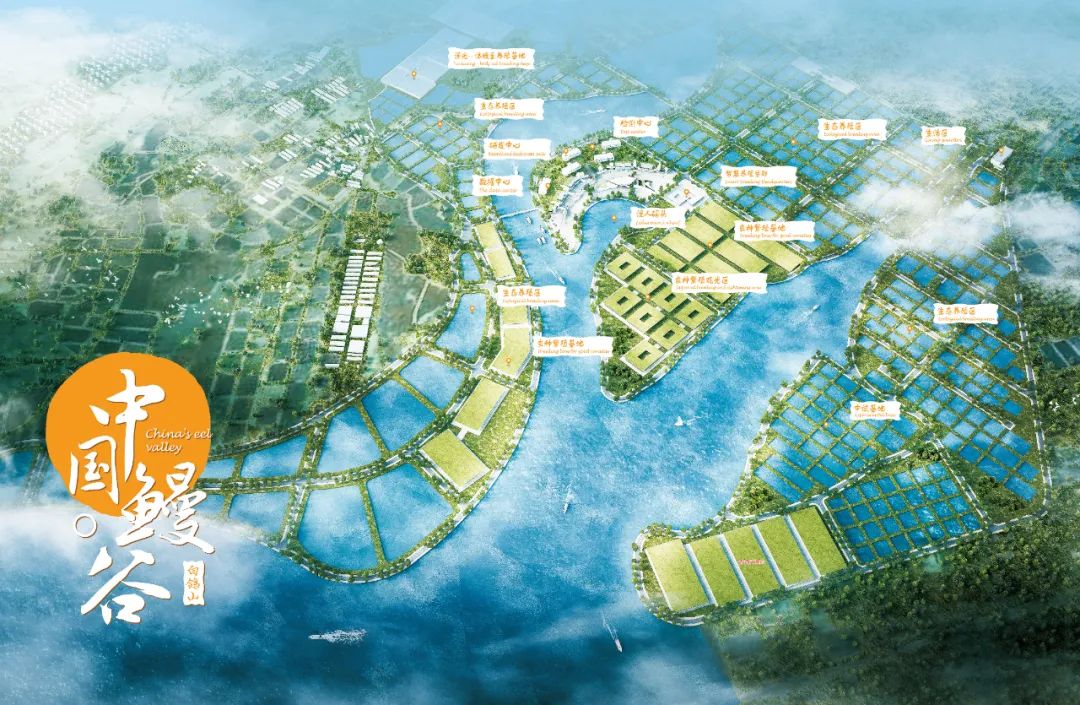 福建天马科技集团有限公司业绩,天马科技最新业绩报告