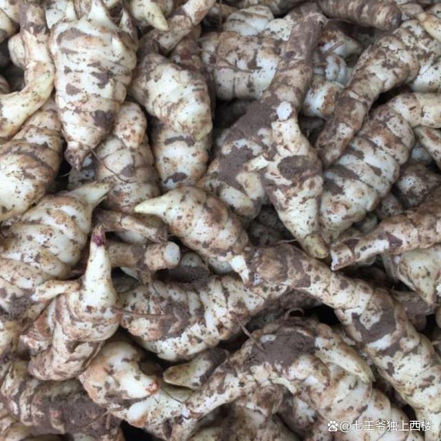 麻城腌制地藕教程,农家腌地藕