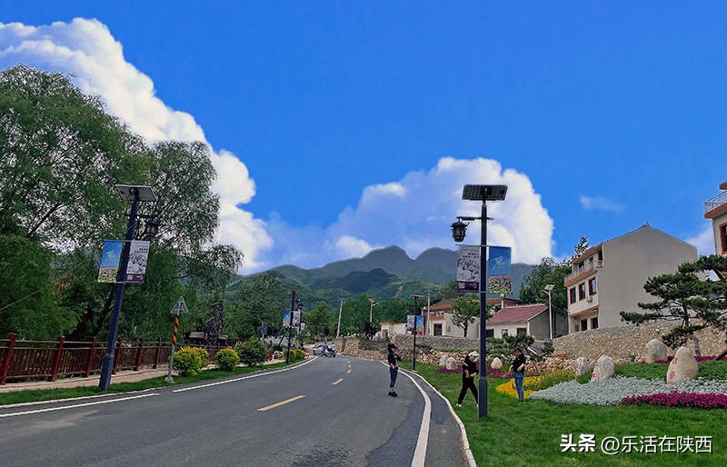 蓝田荞麦花海和高山草甸,西安荞麦花海旅游