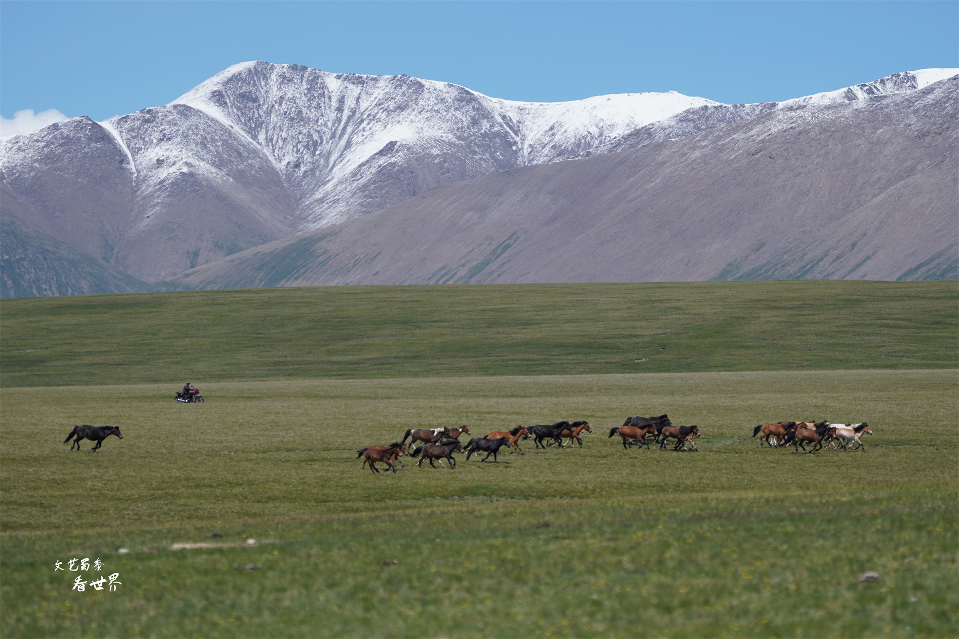 为何说*疆新**旅游一定要去巴音布鲁克草原？而且景区最好选择傍晚去