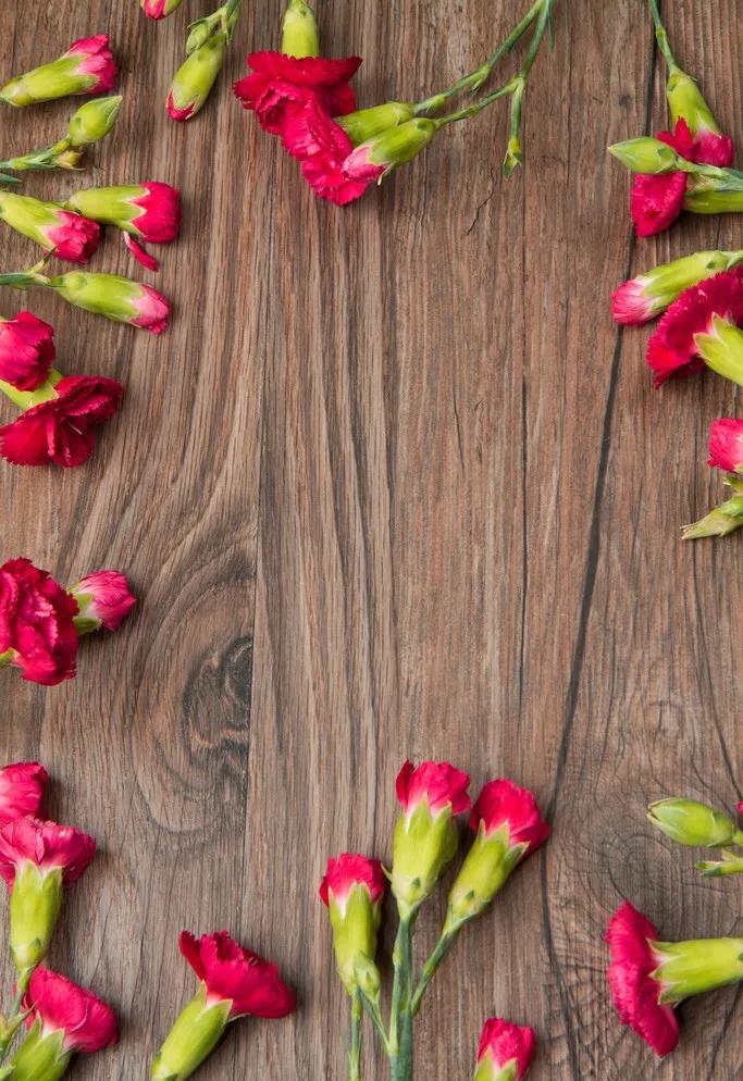 康乃馨花束壁纸,康乃馨壁纸手机超清全面屏