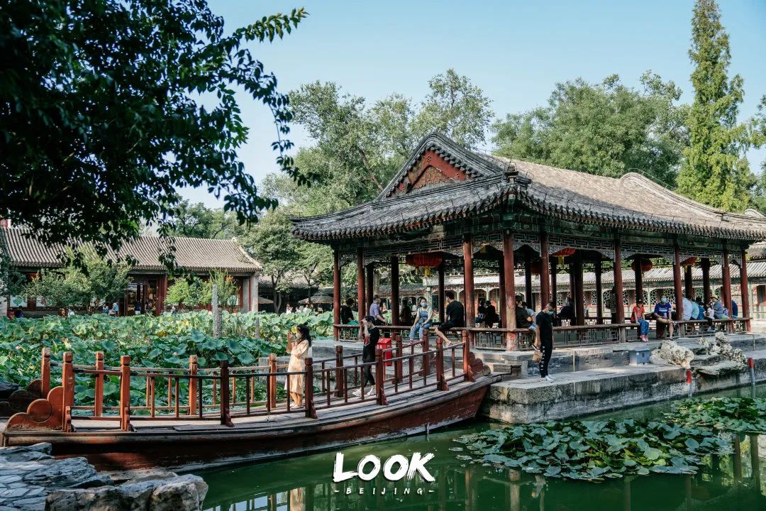 北京什刹海晚上游玩路线,北京什刹海风景秋天攻略