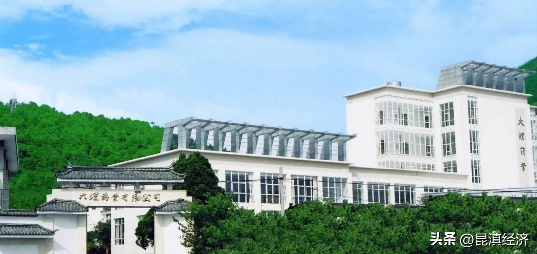 云南海诚集团市值300亿,云南市值排名前十的公司