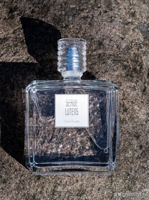 芦丹氏上善之水真假,芦丹氏上善之水最推荐哪款