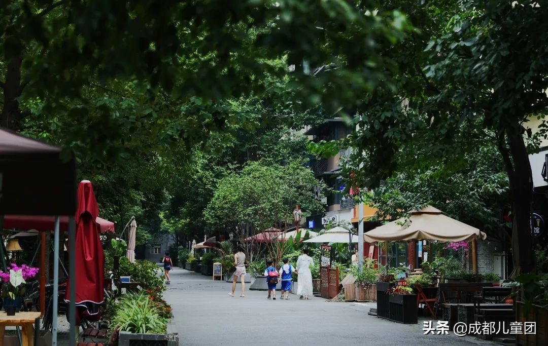 泡桐树街区,北京泡桐树街