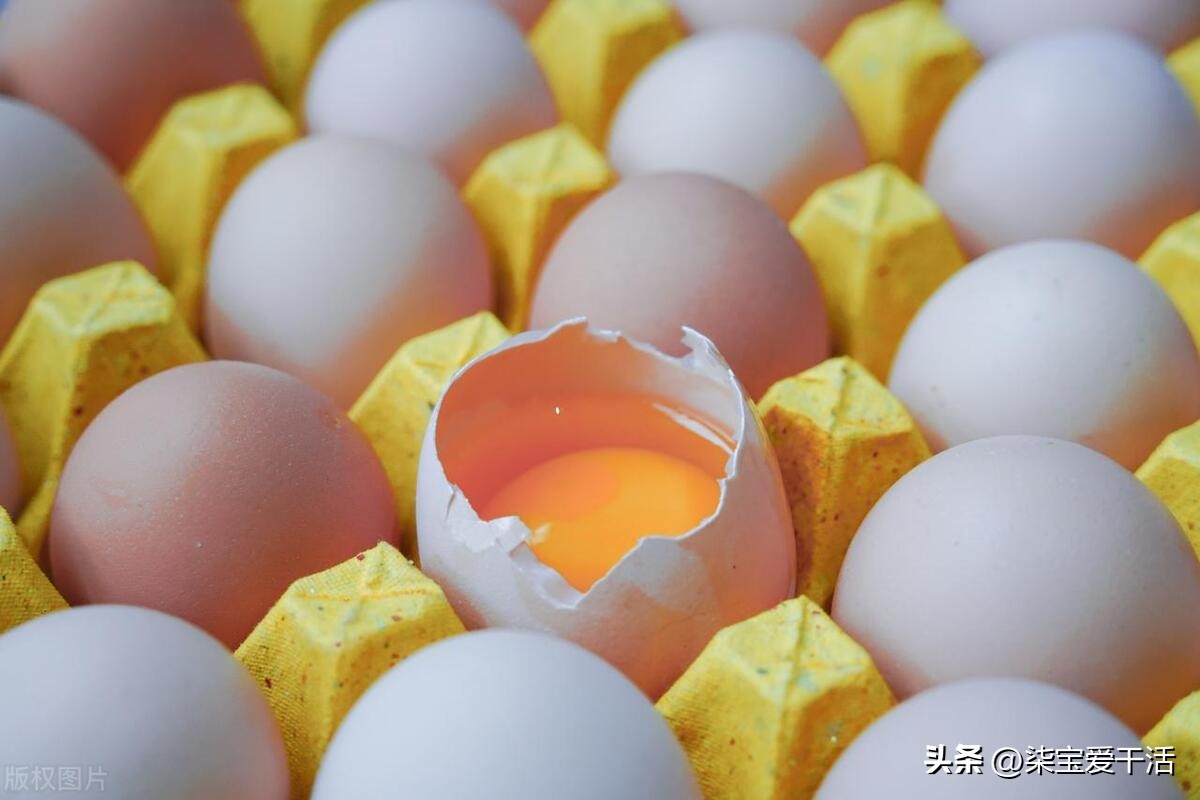 蛋袋钩织鱼,钩织蛋仔小包