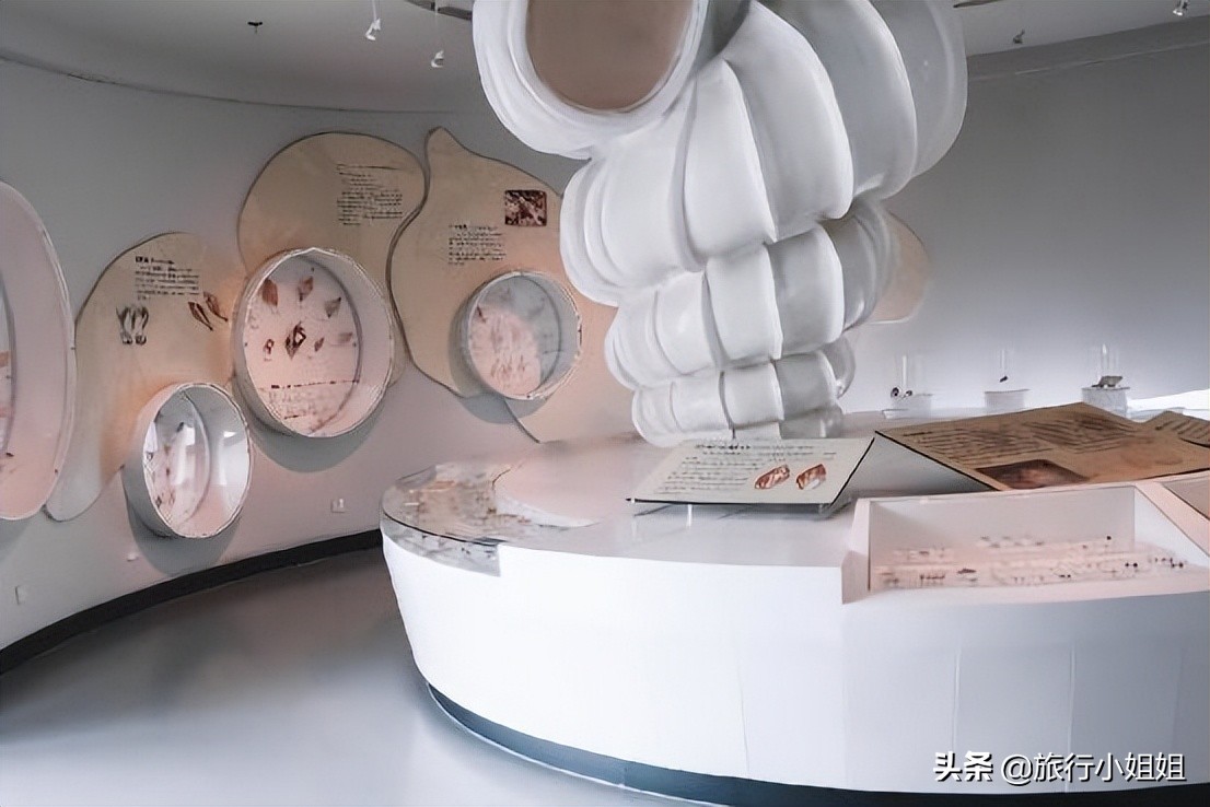 夏日海边浪漫迷人,滨城风光秀丽浪漫气息爆表