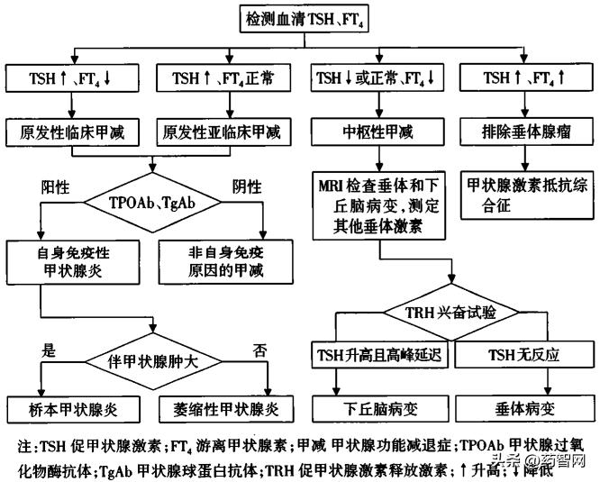 甲减药物一个月多少钱,治疗甲减一盒一百片