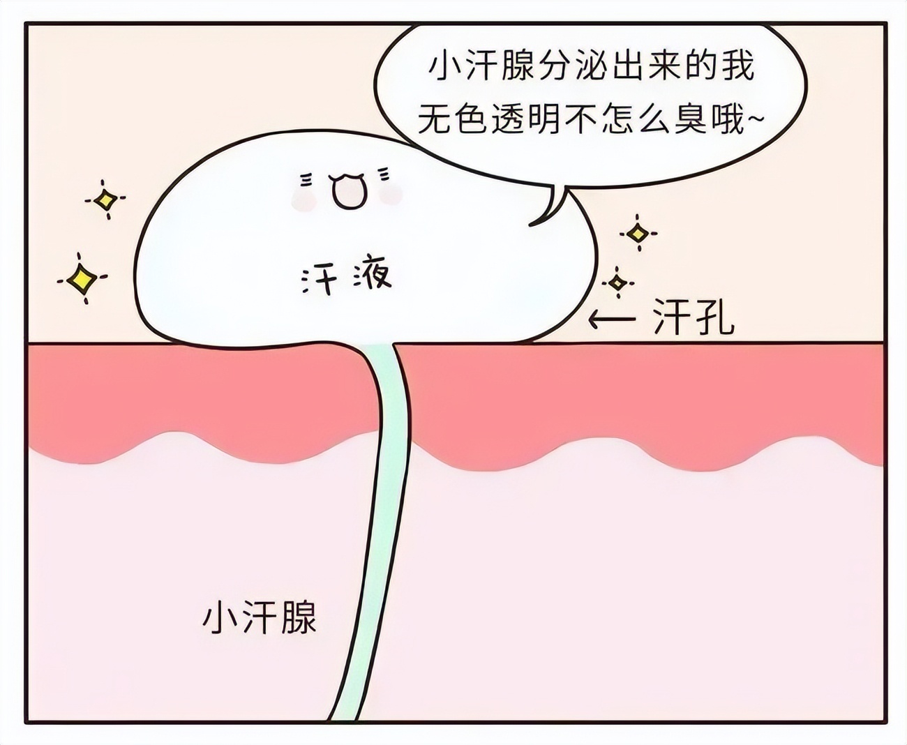 不爱流汗是什么原因,不爱流汗好生病吗