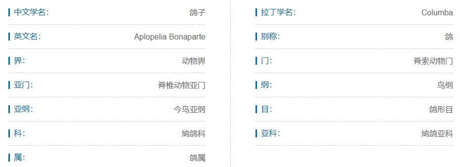 素食宠物食品,素食宠物零食有哪些品种