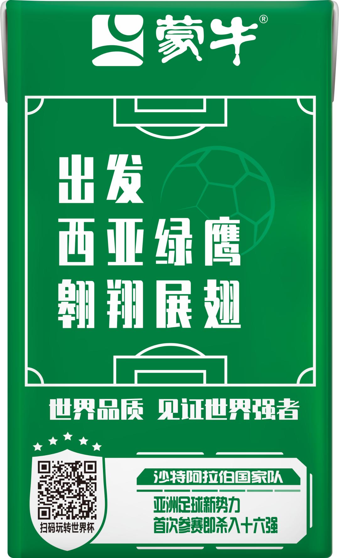 世界杯足球员故事,世界杯队长纪录片第四集