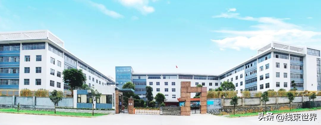 新能源电动汽车线束厂家,新能源汽车线缆厂家排名