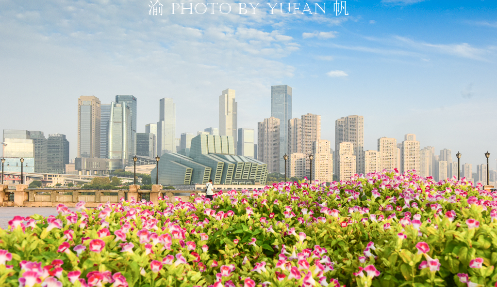 重庆中央公园会成为烂尾楼吗,重庆中央公园是一个完美的地段吗