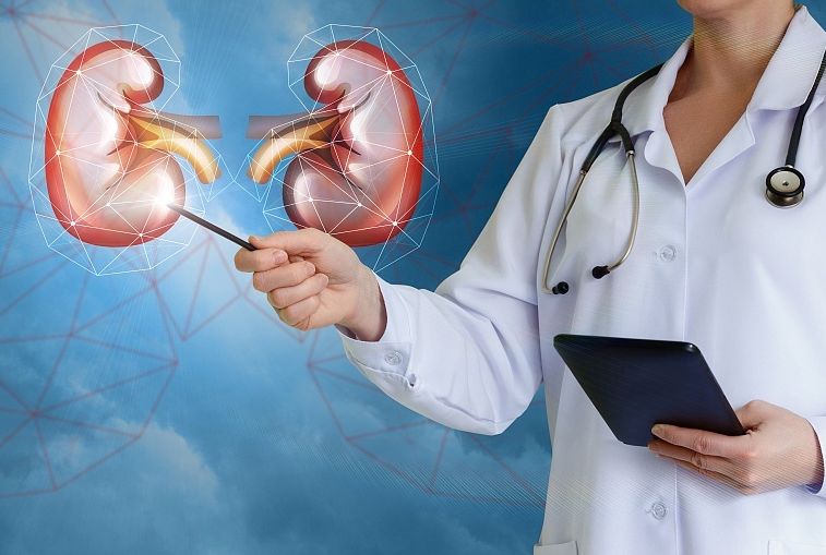 肾病最坏是哪几期,肾病好不好治关键看4点