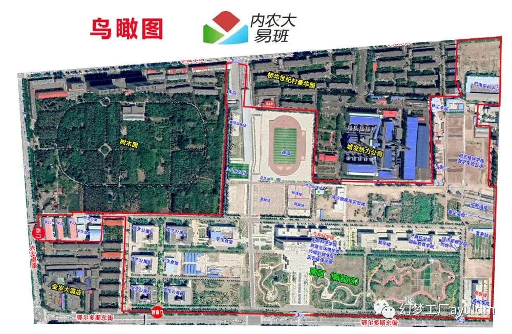 你好母校作文800字,你好母校作文