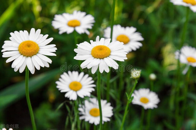 一招解决敏感肌肤,如何拯救敏感肌亲身历程分享