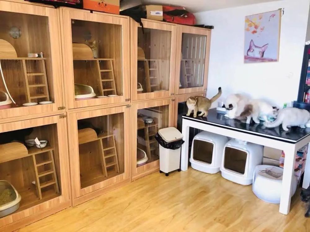 2023年最容易赚钱的10个行业,2023年最容易赚钱的行业是哪种