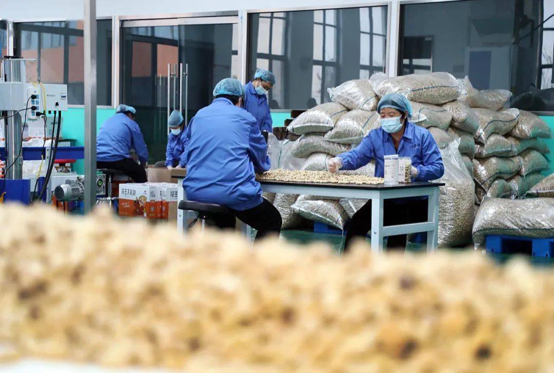 农村养殖种植与三农创业致富项目,2020农村创业最佳项目加盟店