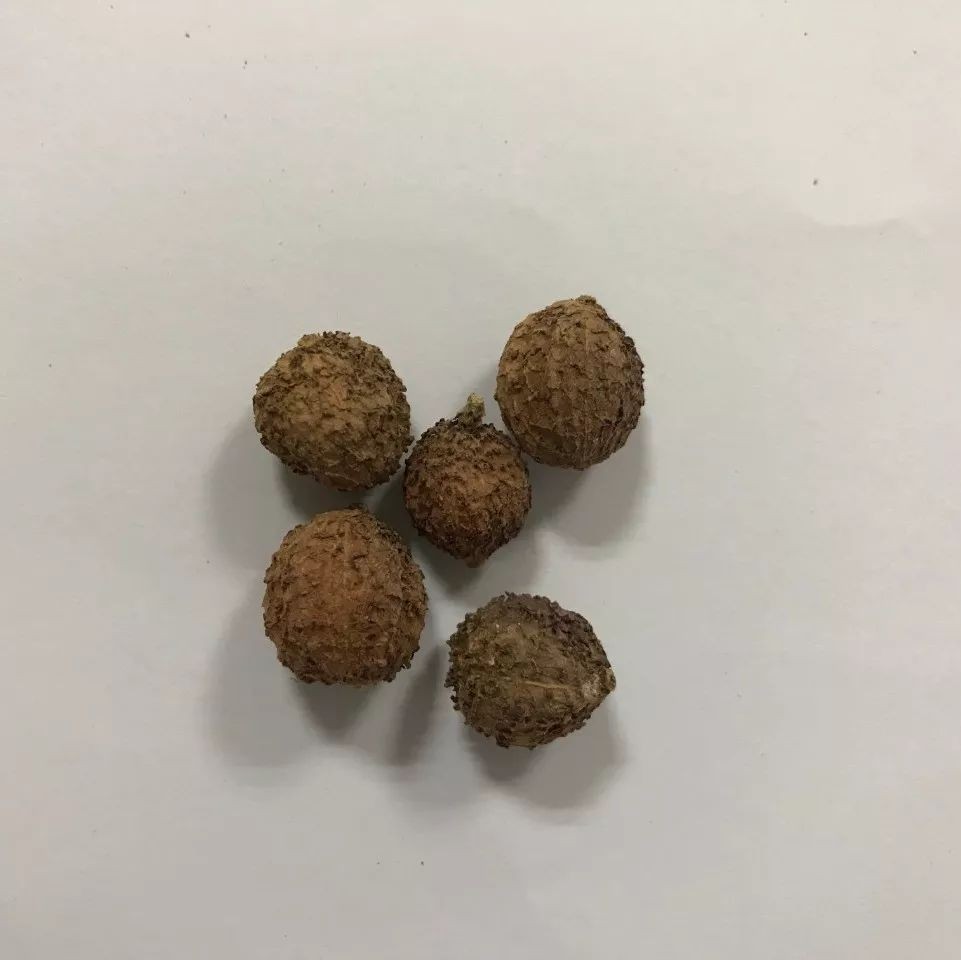 胃痛胃气壅滞中医辨证论治,有肝气郁结养心安神中成药