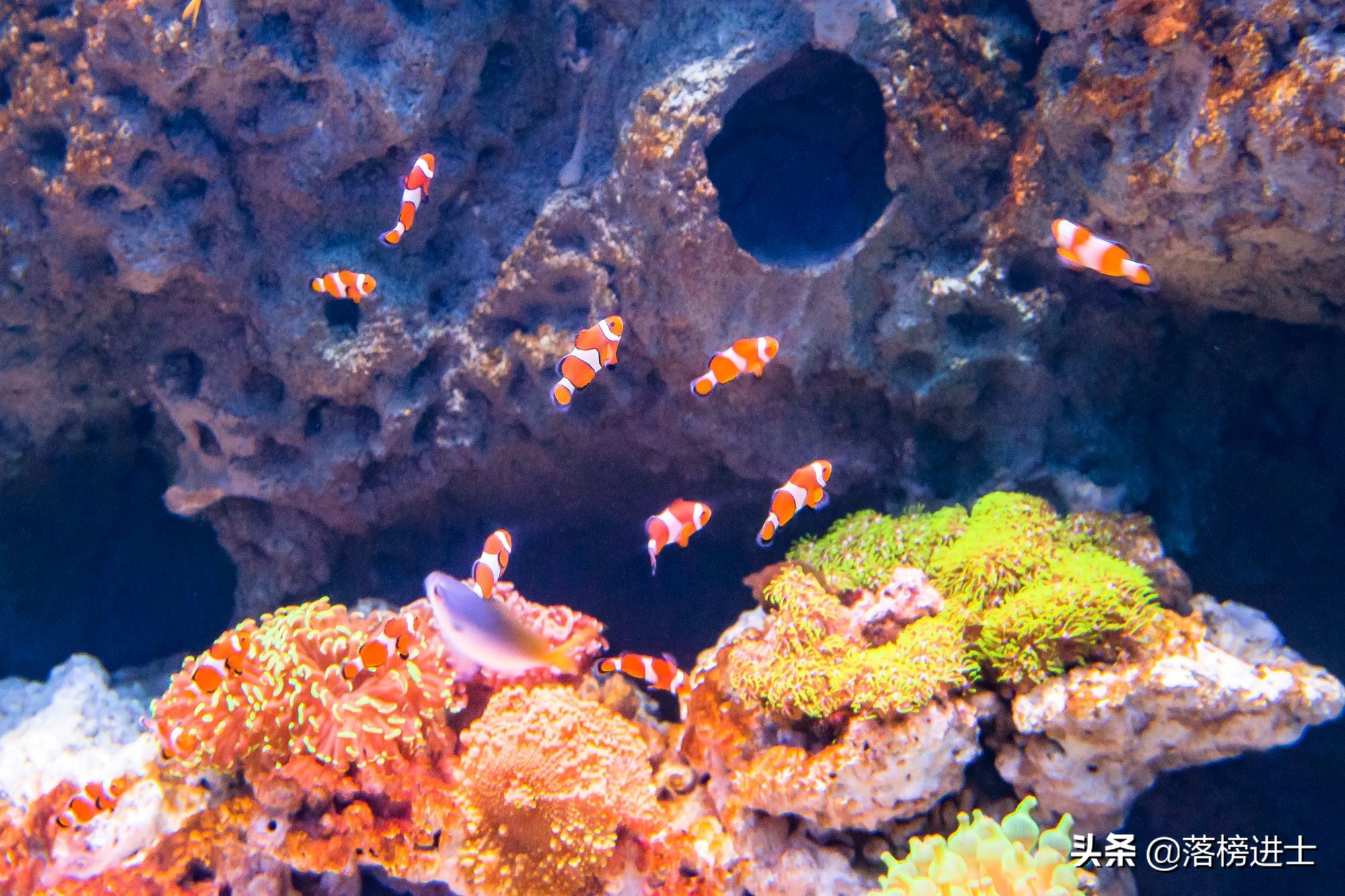 石家庄适合情侣去的旅游景点,石家庄游玩景点推荐适合情侣